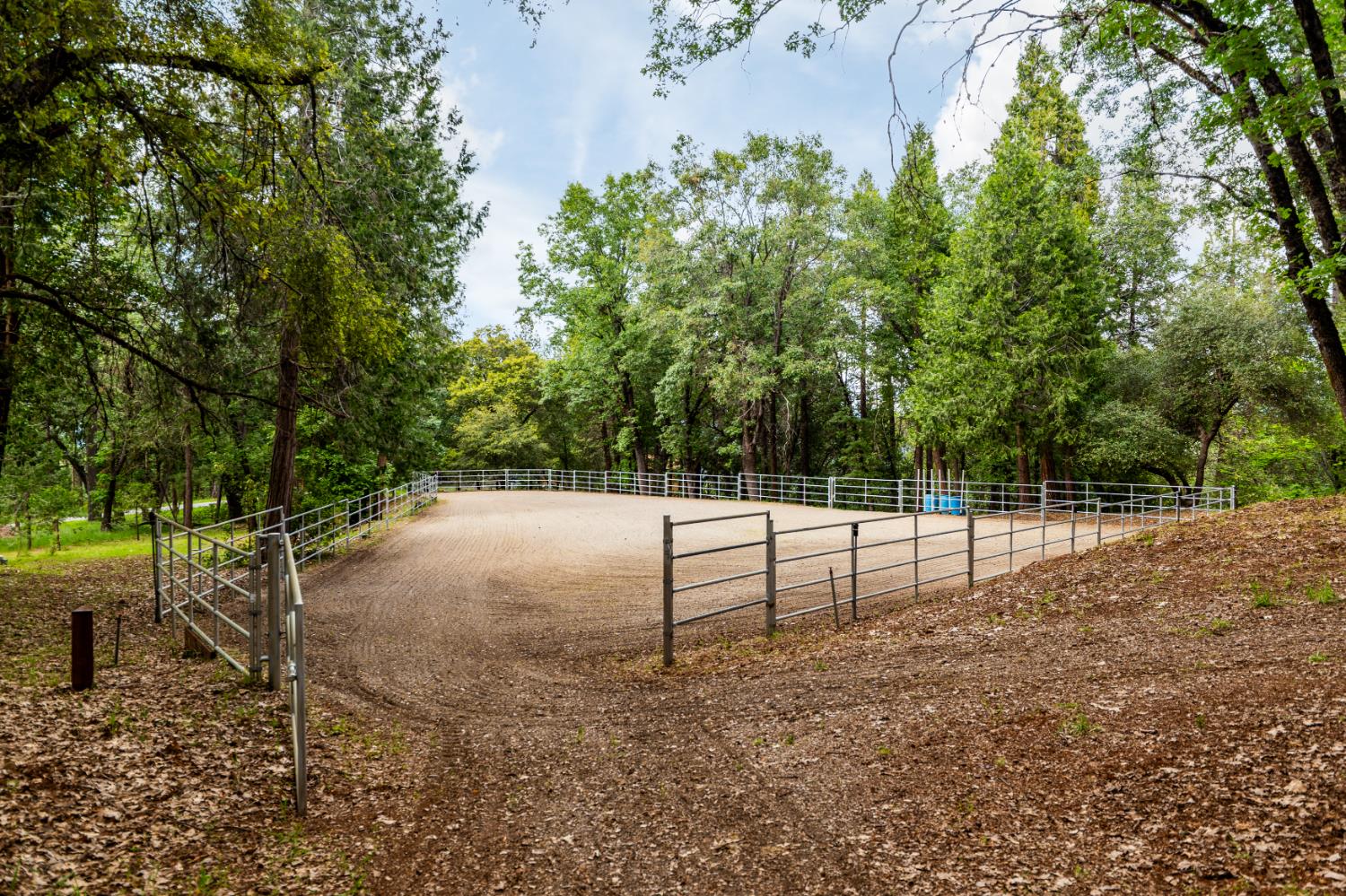 12278 Cement Hill Road Nevada City, CA 95959 - Photo 47 of 61 a view of backyard with green space