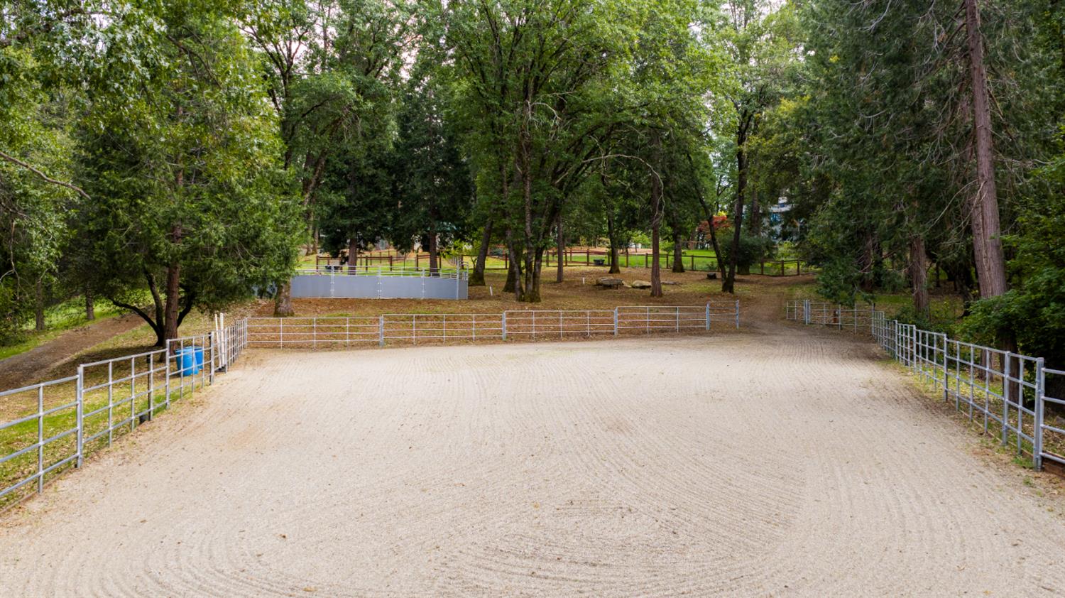 12278 Cement Hill Road Nevada City, CA 95959 - Photo 49 of 61 a view of a yard with plants and trees