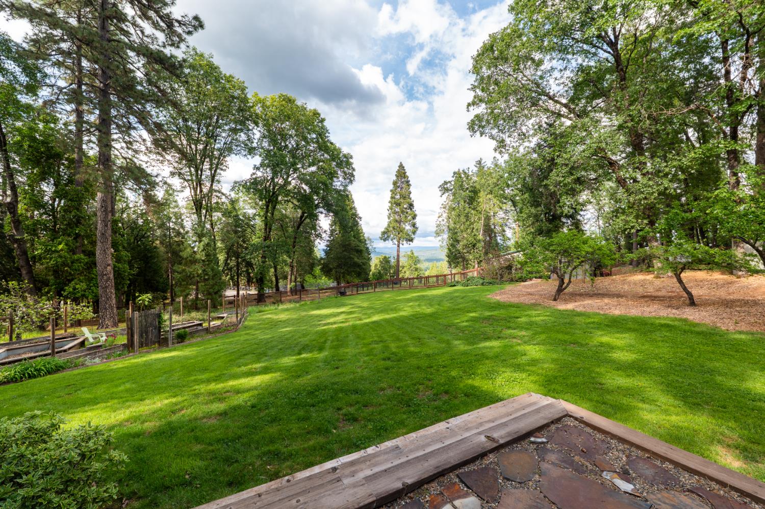 12278 Cement Hill Road Nevada City, CA 95959 - Photo 53 of 61 a view of a park with large trees