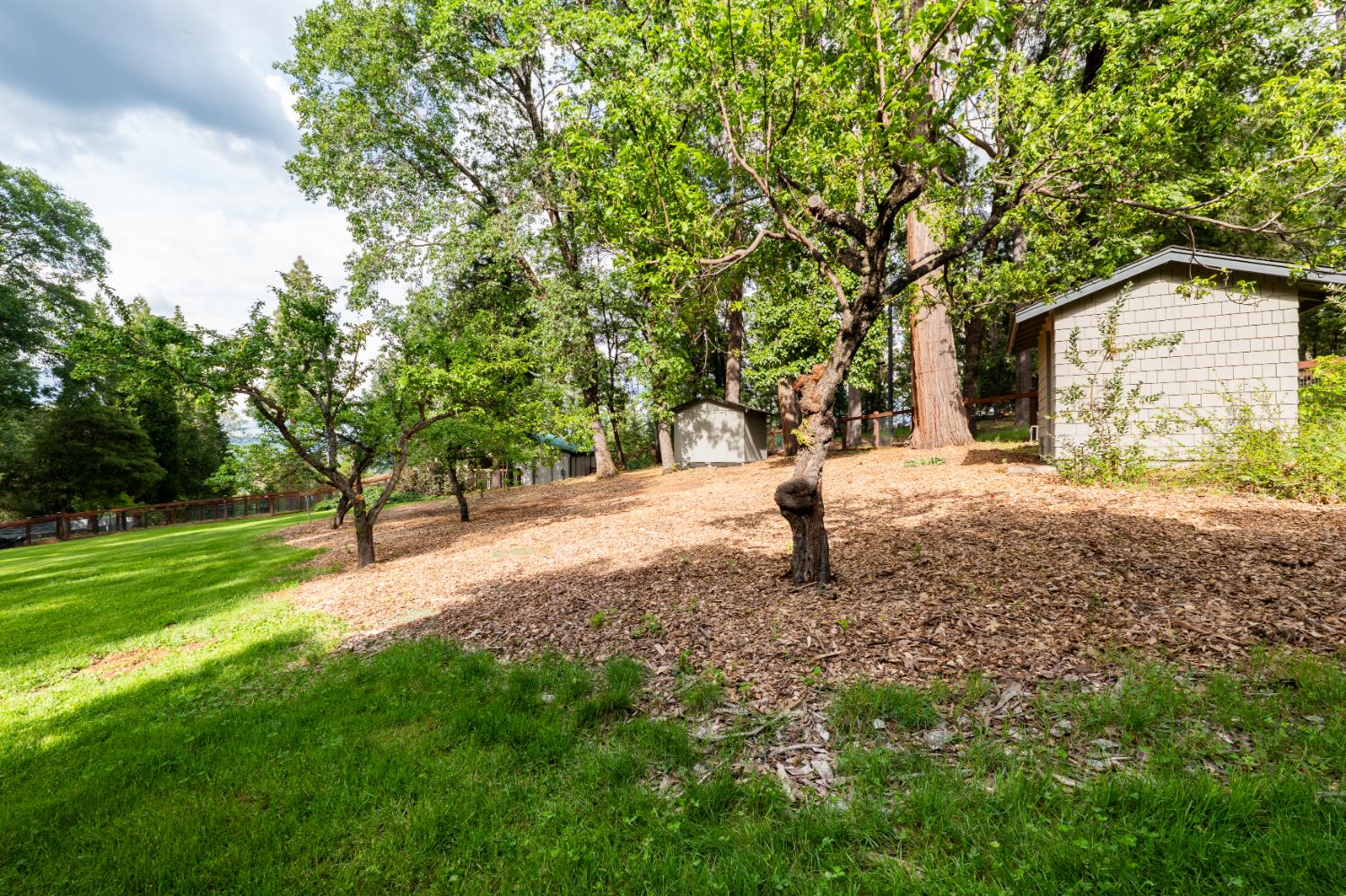 12278 Cement Hill Road Nevada City, CA 95959 - Photo 54 of 61