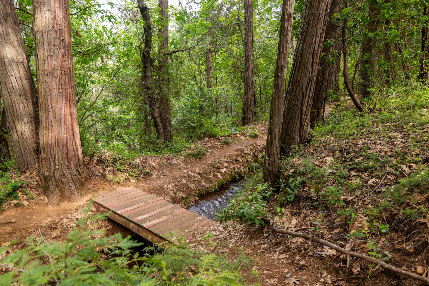 12278 Cement Hill Road Nevada City, CA 95959 - Photo 55 of 61 a wooden bench sitting in the middle of a forest