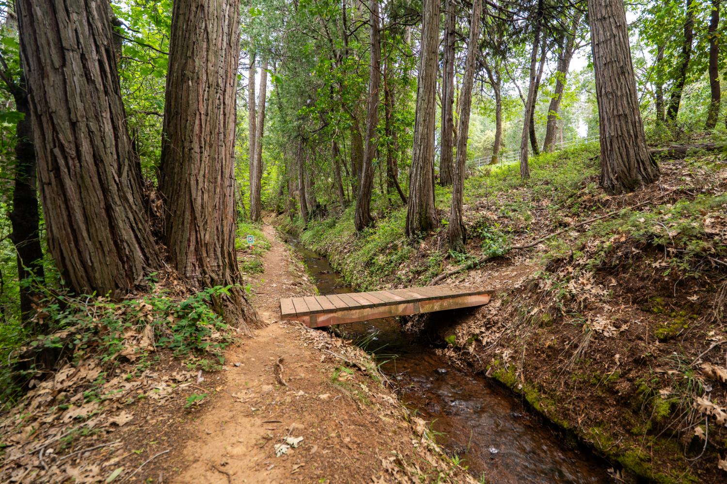 12278 Cement Hill Road Nevada City, CA 95959 - Photo 56 of 61