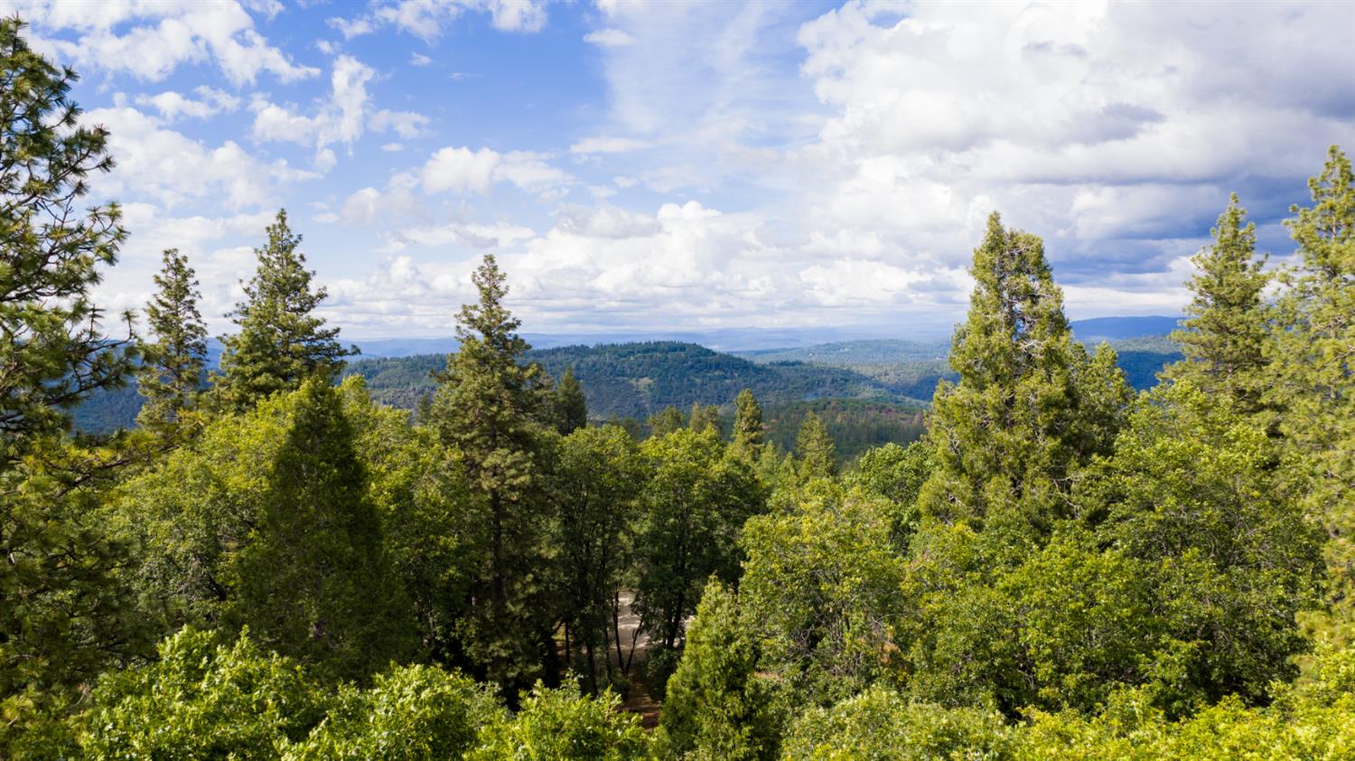 12278 Cement Hill Road Nevada City, CA 95959 - Photo 59 of 61
