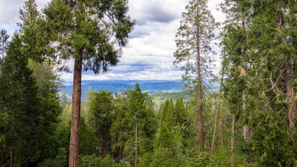 $1,295,000 | 12278 Cement Hill Road, Nevada City, CA 95959