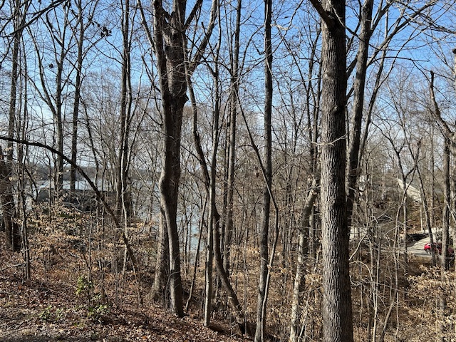 1717 Point Road Westminster, SC 29693 - Photo 2 of 14 Winter Lake View