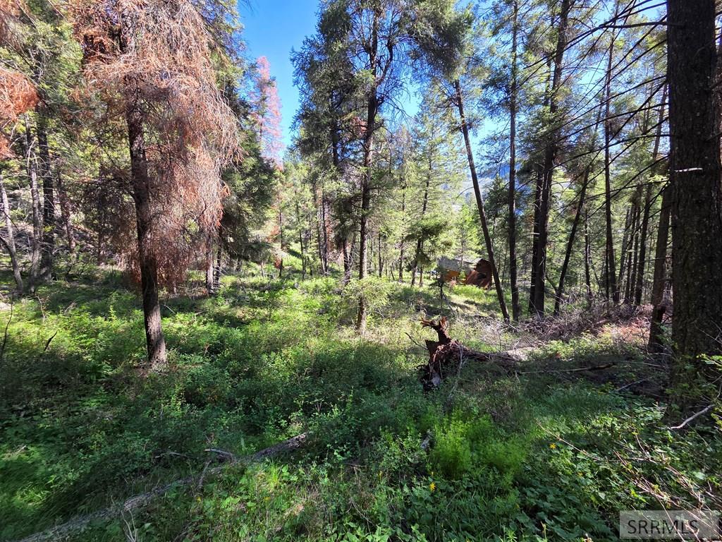 21 Pinetree Drive Salmon, ID 83467 - Photo 24 of 71