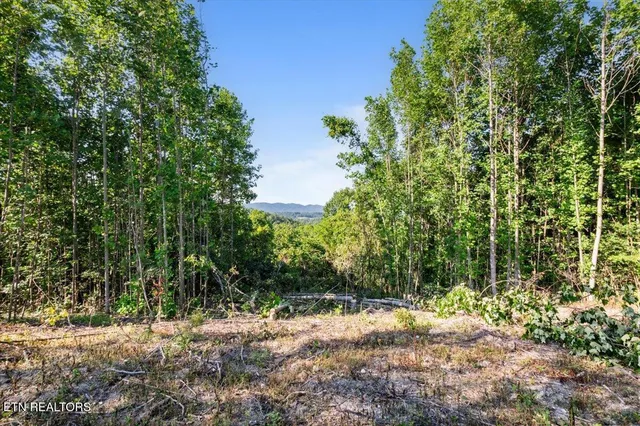 $225,000 | 281 Red Oak Circle, Caryville, TN 37714