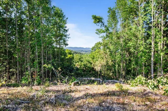 $225,000 | 281 Red Oak Circle, Caryville, TN 37714