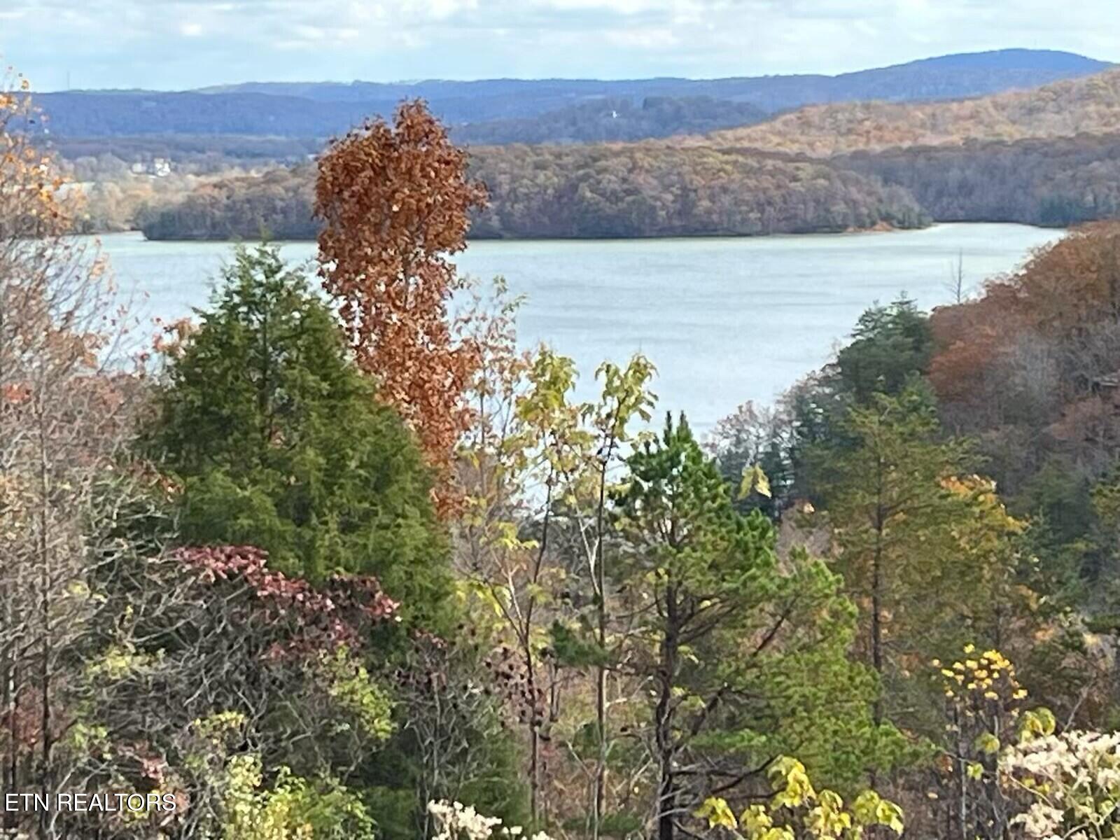 Lot 406 Flint Ridge Road Rockwood, TN 37854 - Photo 2 of 10 lot 406 flint ridge rd