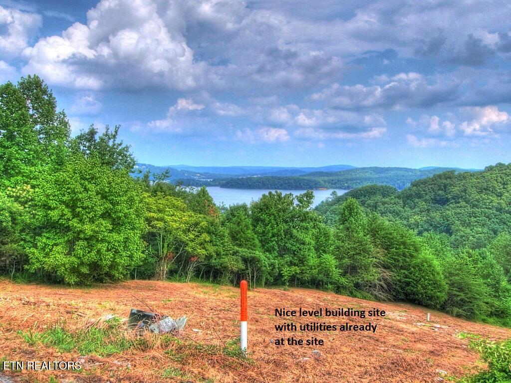 Lot 406 Flint Ridge Road Rockwood, TN 37854 - Photo 5 of 10 IS6eyhpbfohj921000000000 (1)