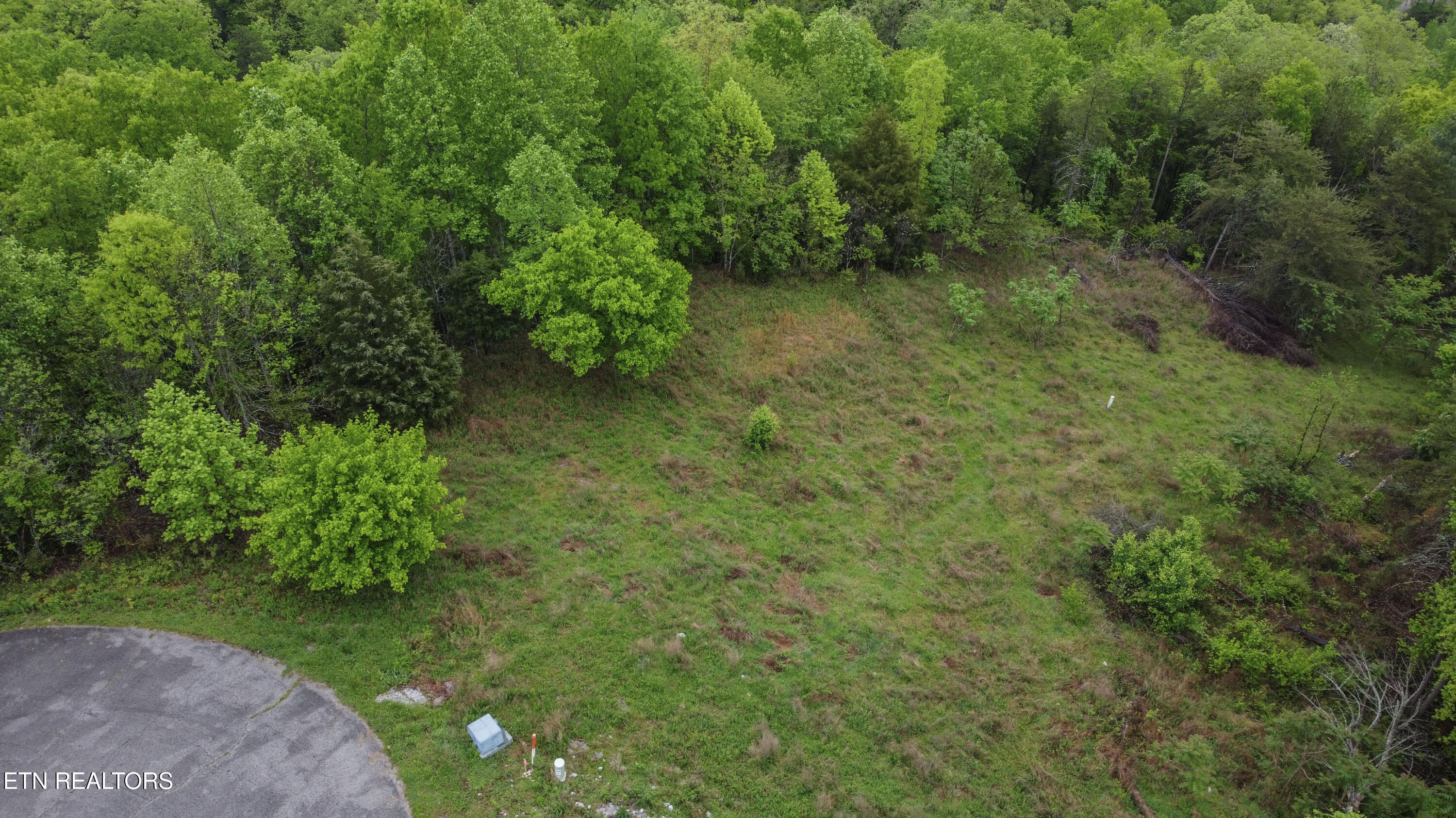Lot 406 Flint Ridge Road Rockwood, TN 37854 - Photo 10 of 10 drone 1