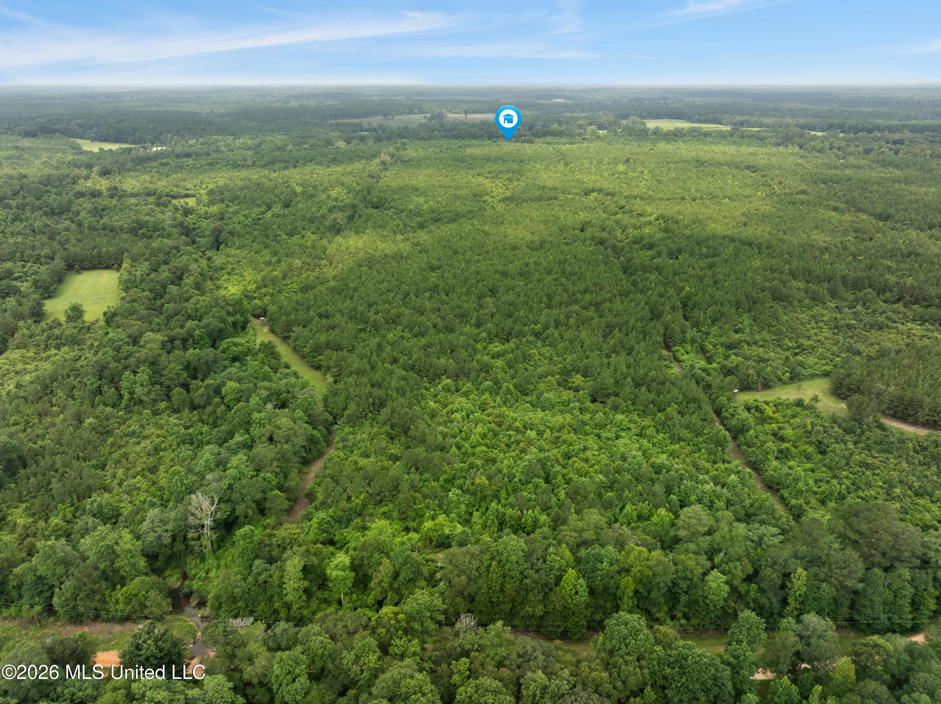 232 Knoxo Columbia Road Tylertown, MS 39667 - Photo 115 of 120 232_Knoxo_Columbia_Rd-114