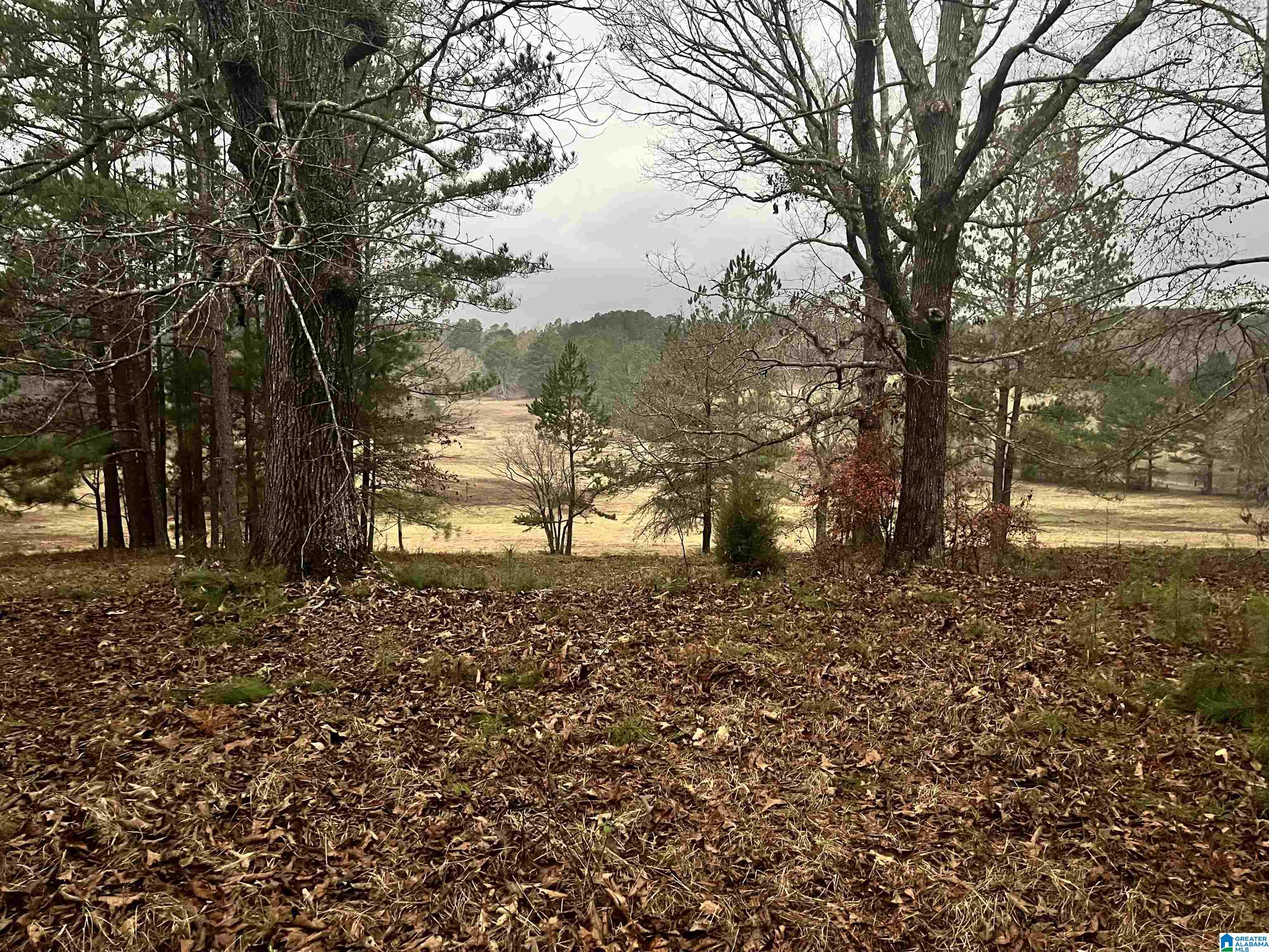 2020 Church Road, Unit 2020 Pell City, AL 35128 - Photo 13 of 16