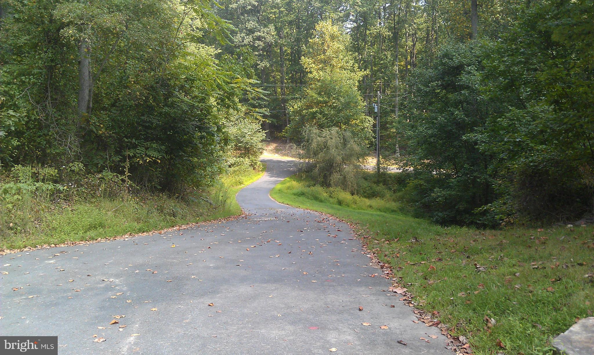 10471 Warland Road Marshall, VA 20115 - Photo 16 of 18 a view of a road with a yard