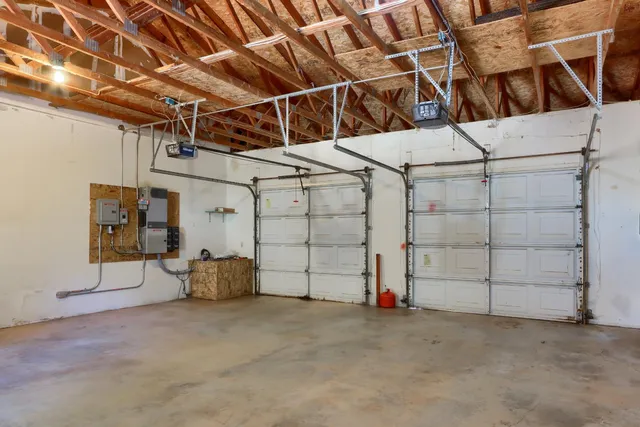 a view of a forest filled with trees