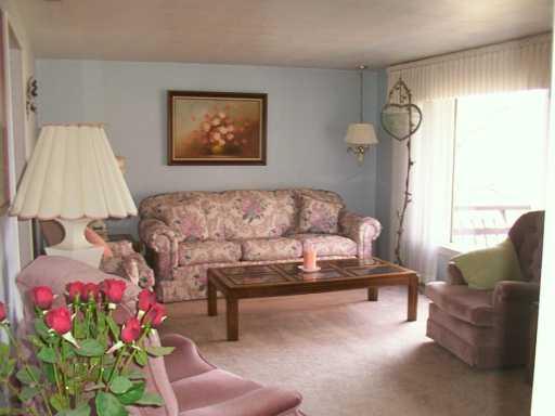4633 Hilty Road Murrysville, PA 15668 - Photo 4 of 8 Other.