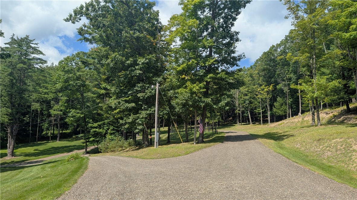 316 Seminary Road Hartwick, NY 13807 - Photo 11 of 46 Gallery Image 11