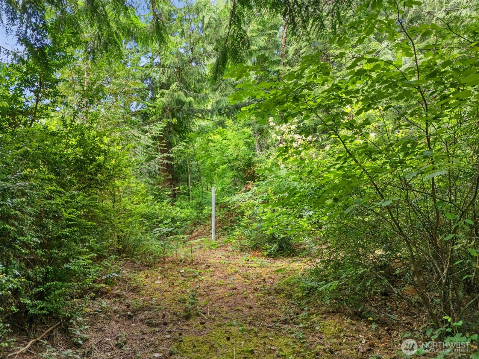 0 Rouse Road Southwest Longbranch, WA 98351 - Photo 18 of 20 Gallery Image 18