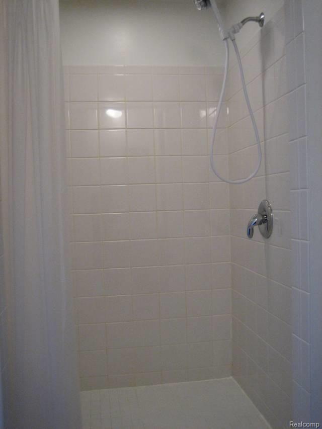 16155 Petz Road Capac, MI 48014 - Photo 9 of 17 Ceramic Tile Shower