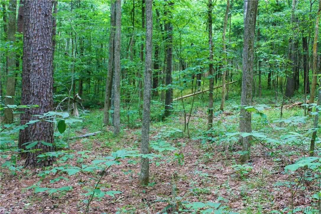 0 Simms Road Cumberland, VA 23040 - Photo 36 of 43 Gallery Image 36