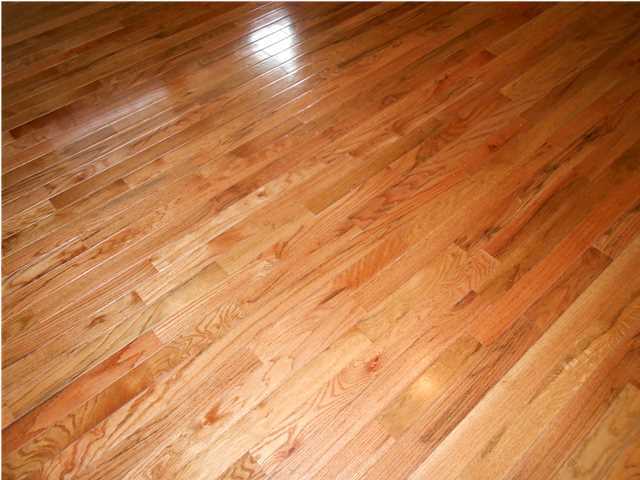 1232 Chapman Road Ringgold, GA 30736 - Photo 23 of 25 Additional Photo