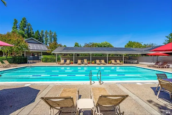 a view of a swimming pool with lawn chairs and plants