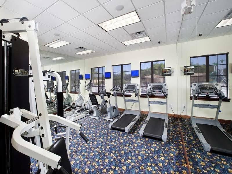 8958 Cat Palm Road Kissimmee, FL 34747 - Photo 45 of 62 Gallery Image 45