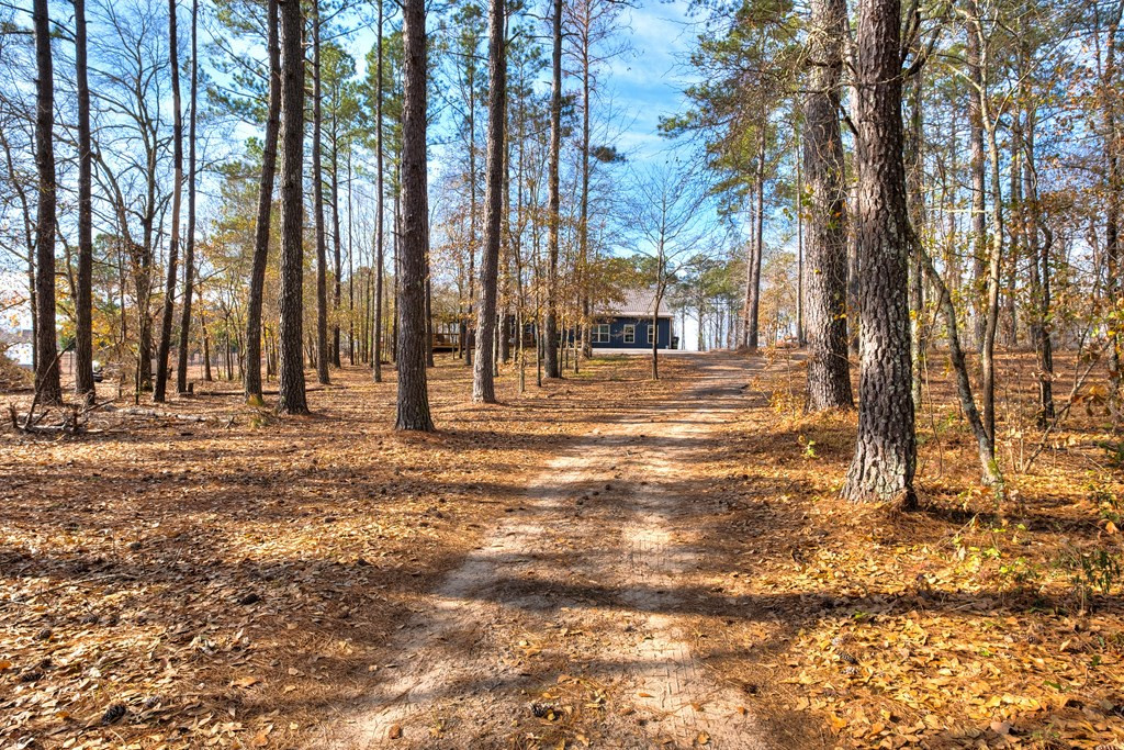 930 Loring Mill Road Sumter, SC 29150 - Photo 3 of 67