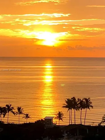 a view of a hallway with wooden floor and cabinet