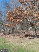a view of empty room with trees