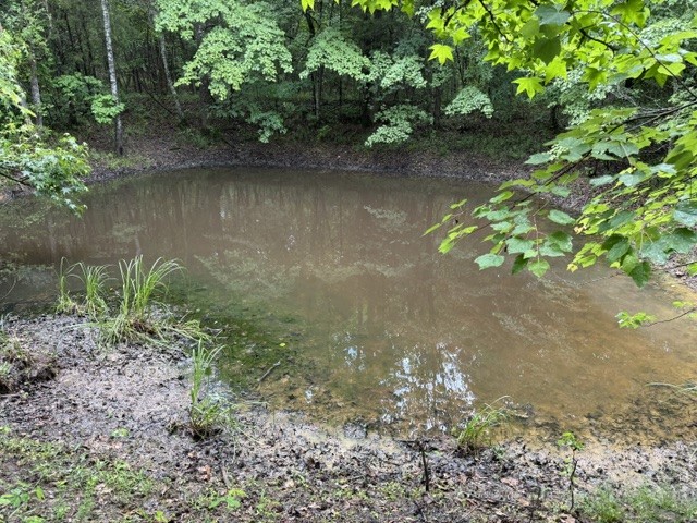0 Smoot Road Morrison, TN 37357 - Photo 4 of 4 a view of a lake with a yard
