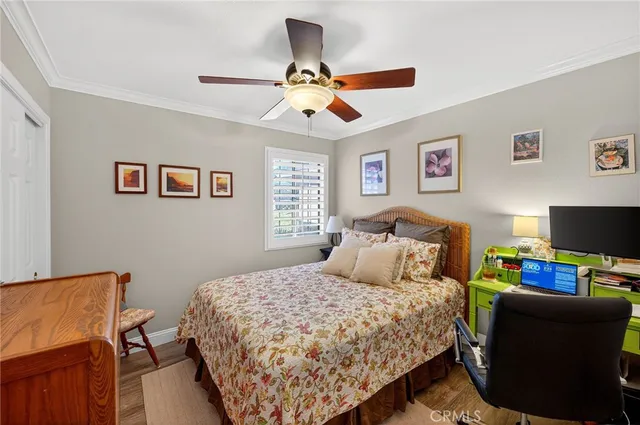 a potted plant sitting in front of a door