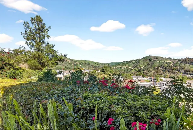 a view of a bunch of flowers in a yard