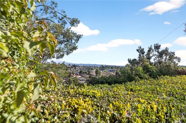 a view of a patio with couches under an umbrella