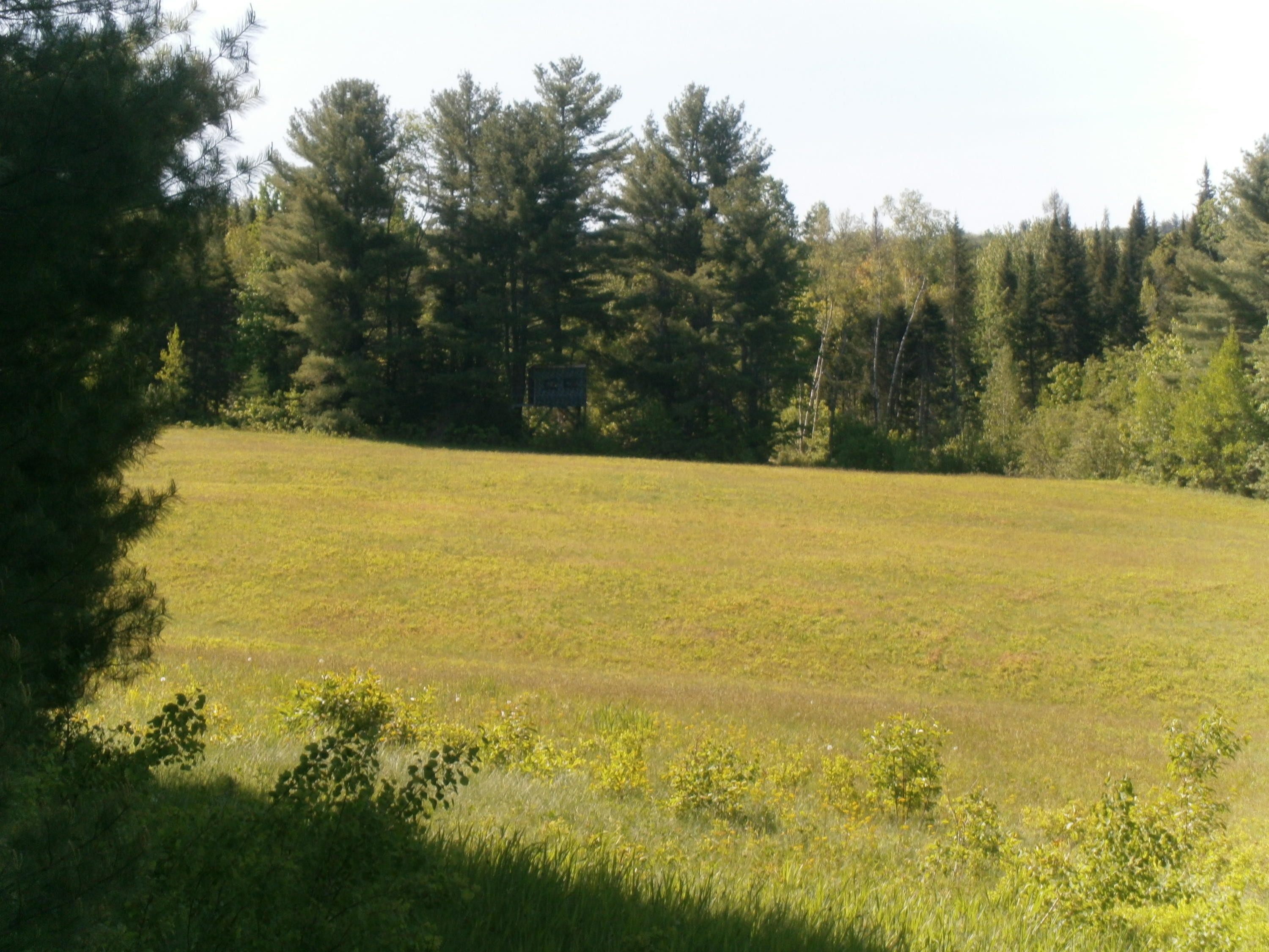 263 River Road Lagrange, ME 04453 - Photo 25 of 26 P6091614