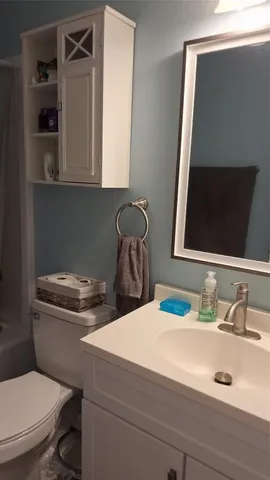 a bathroom with a sink and a toilet