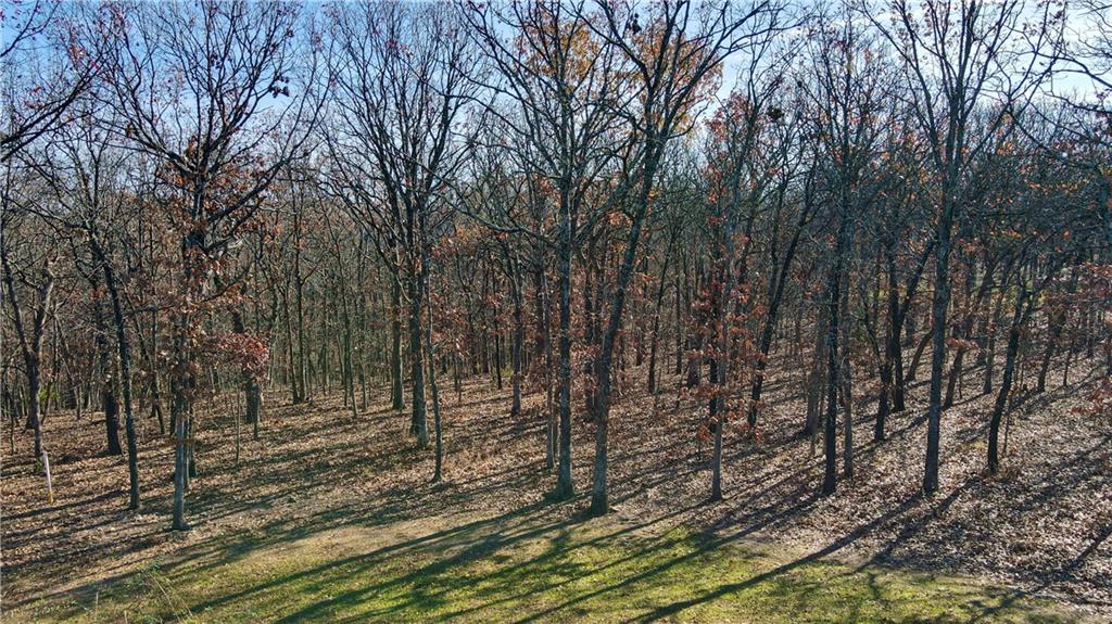 26644 Magnolia Lane Clinton, MO 64735 - Photo 55 of 89