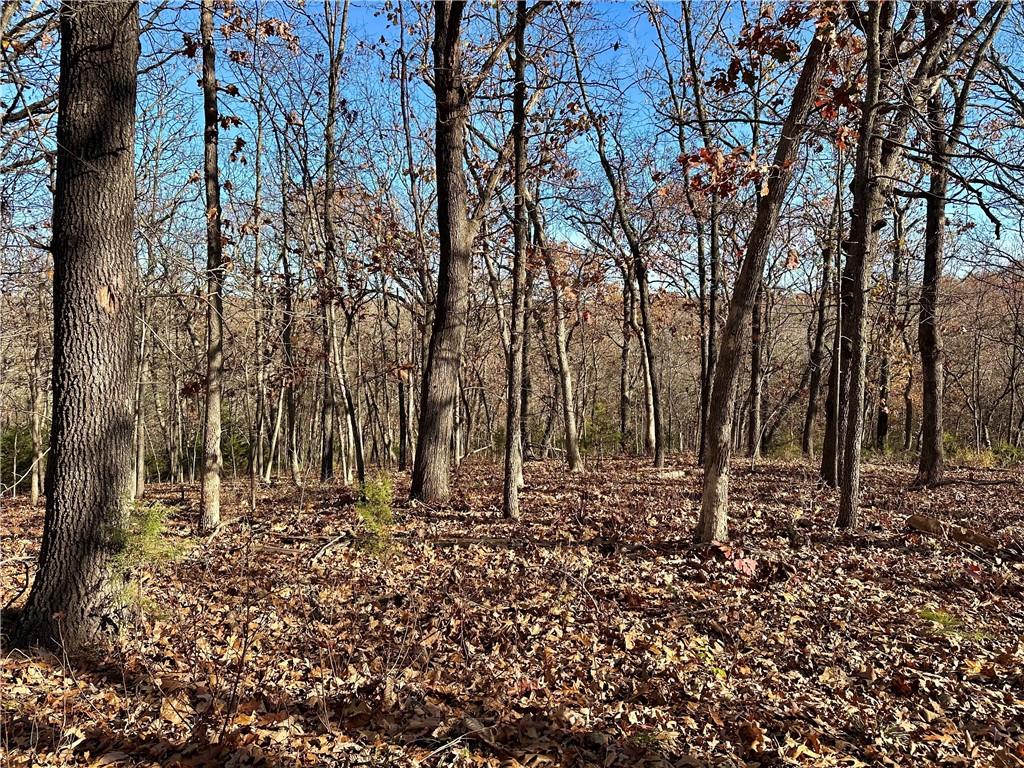 26644 Magnolia Lane Clinton, MO 64735 - Photo 75 of 89