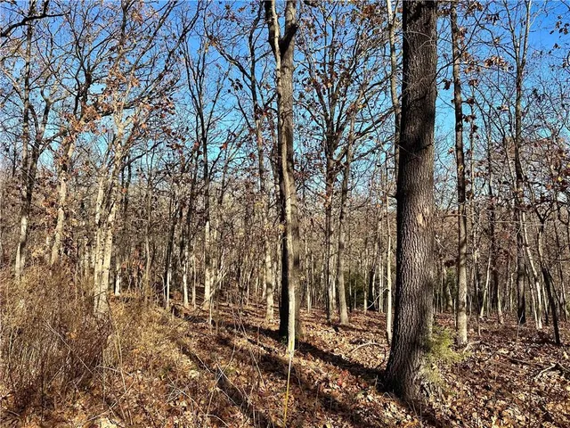 $540,000 | 26644 Magnolia Lane, Clinton, MO 64735