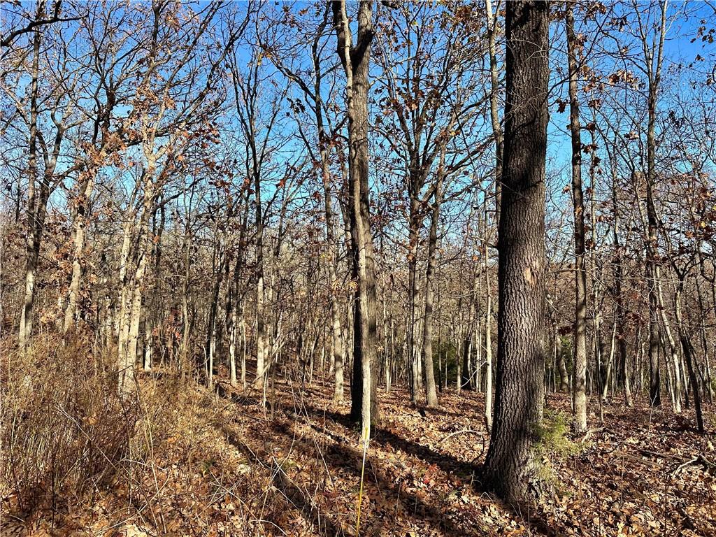 26644 Magnolia Lane Clinton, MO 64735 - Photo 76 of 89