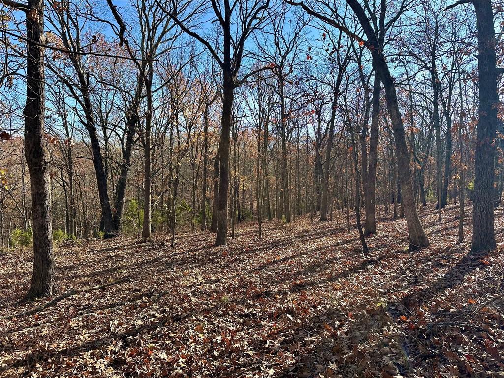 26644 Magnolia Lane Clinton, MO 64735 - Photo 78 of 89