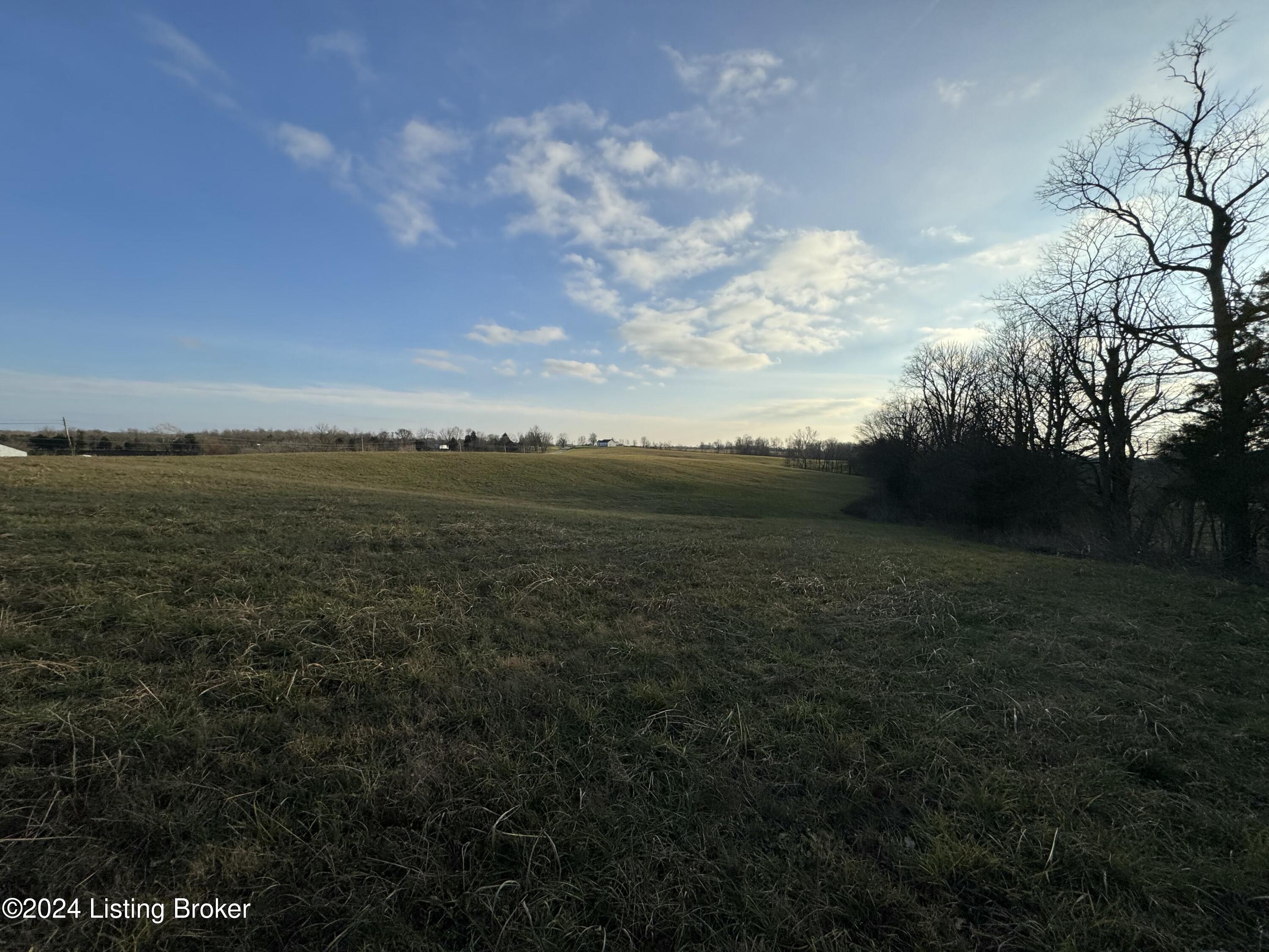 Lot 3 Mt Eden Road Waddy, KY 40076 - Photo 7 of 16 tempImageXI8csO
