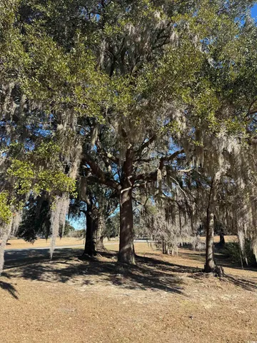 $69,999 | 437 Rosebank Road, Georgetown, SC 29440