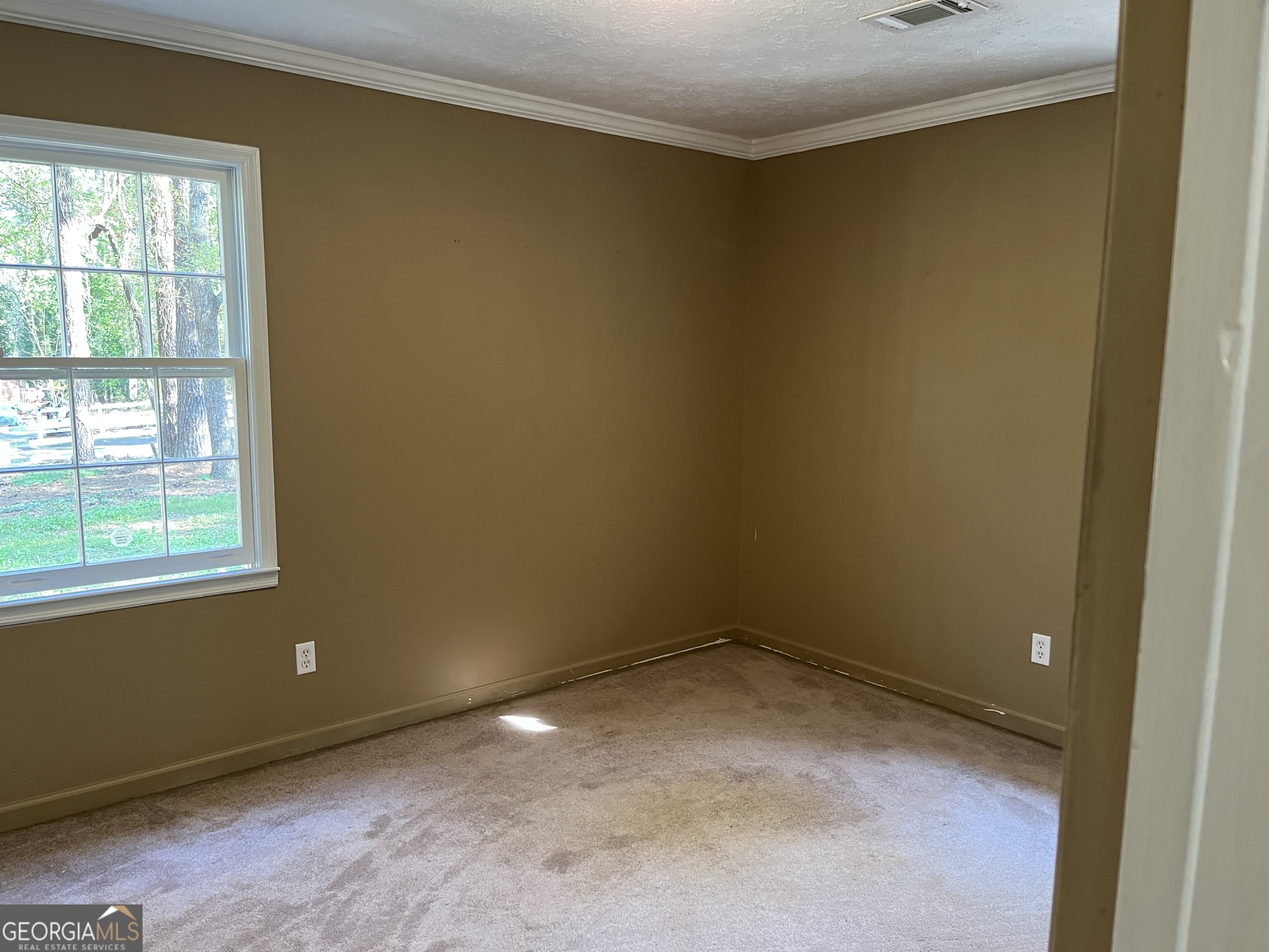 233 George Coggin Road Newnan, GA 30265 - Photo 18 of 22