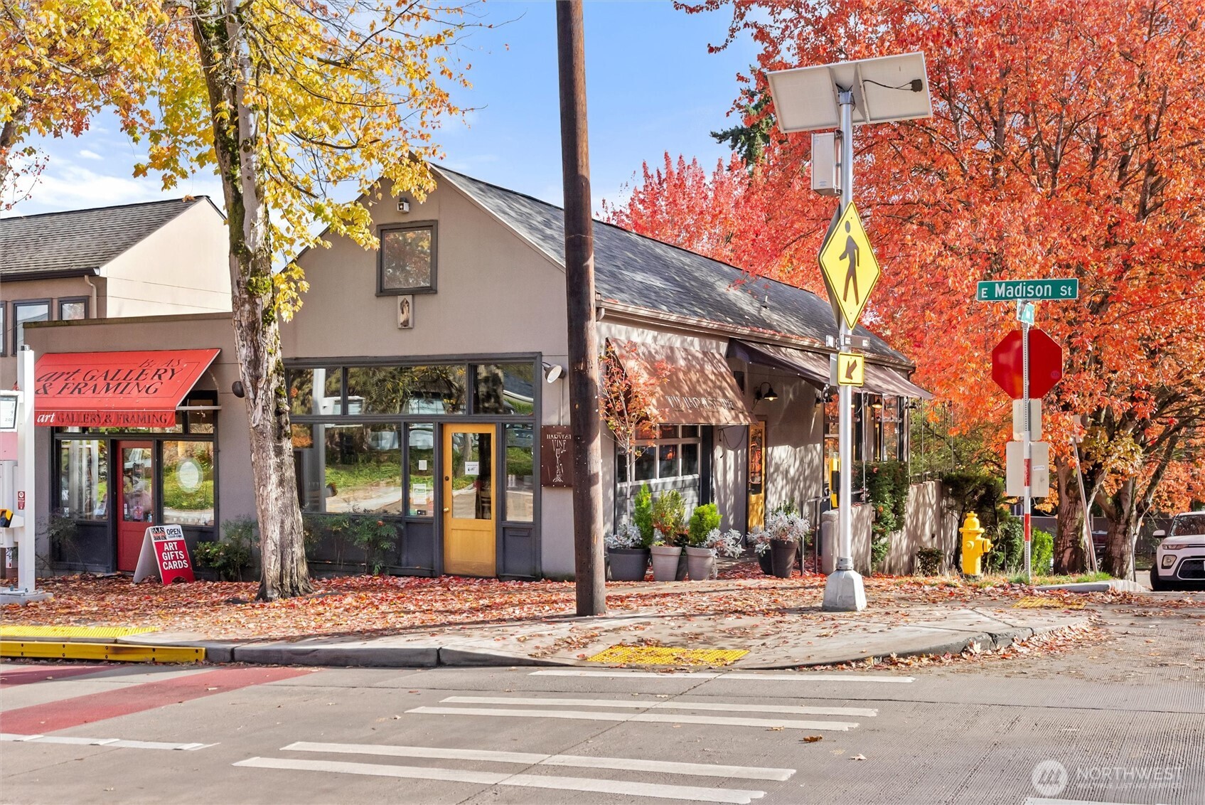 2626 East Madison Street, Unit 11 Seattle, WA 98112 - Photo 22 of 29 a view of street along with houses on road and trees