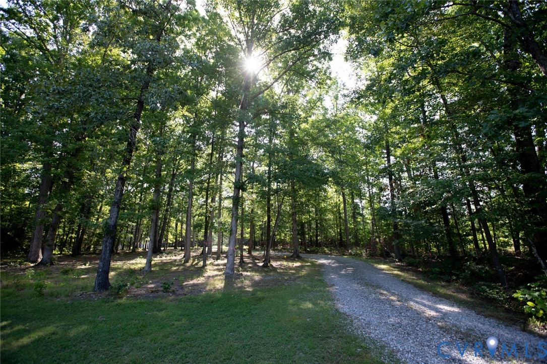 385 Asal Road Farmville, VA 23901 - Photo 55 of 68 Long driveway with trees surrounding it on both si