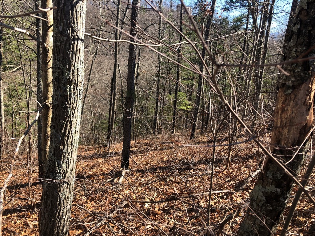5 Chestnut Ridge Court Sevierville, TN 37862 - Photo 8 of 9