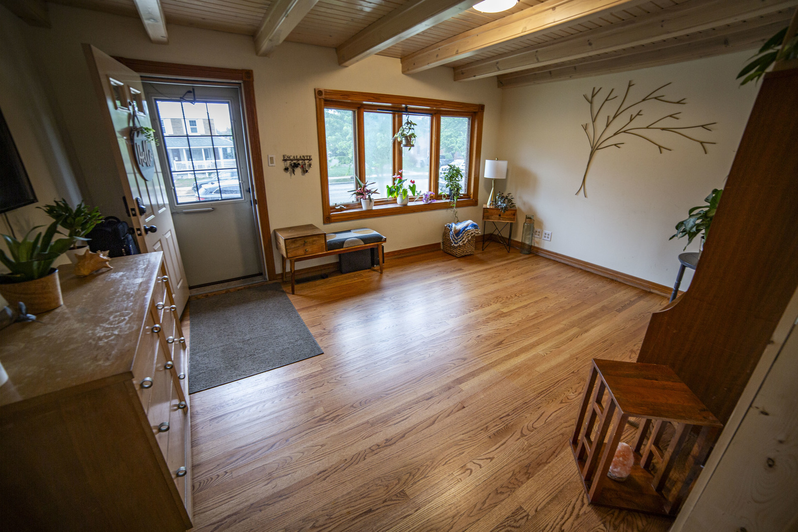 10804 South Ridgeway Avenue Chicago, IL 60655 - Photo 3 of 52 Gallery Image 3
