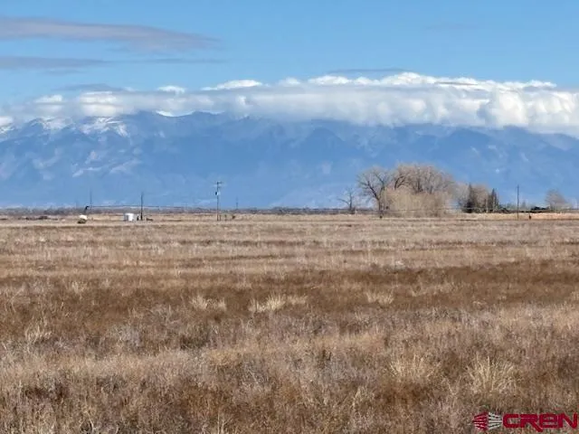 a view of an ocean beach