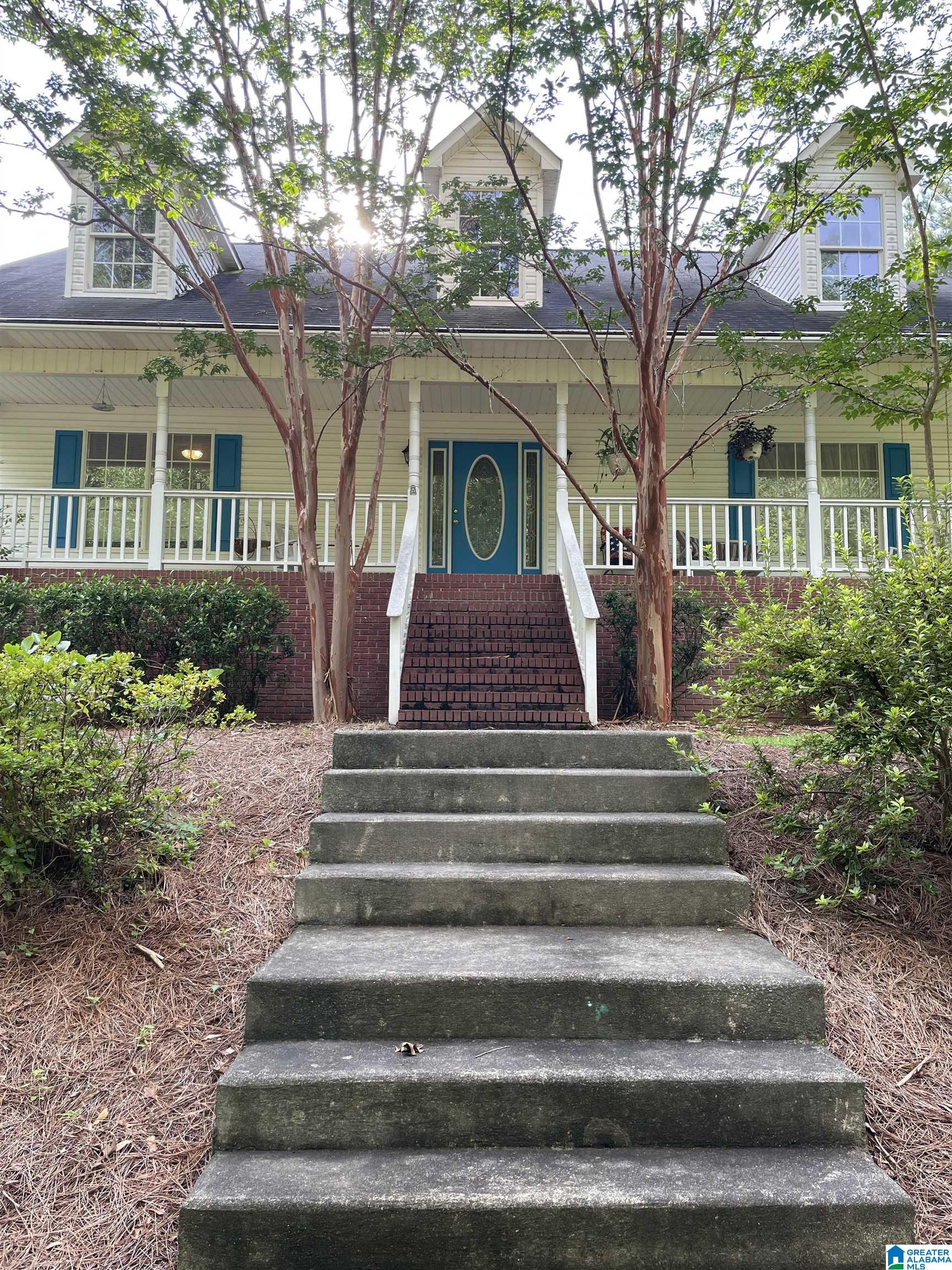 2647 Rabbittown Road Piedmont, AL 36272 - Photo 2 of 57